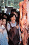 japanausstellung02.jpg (19127 bytes)