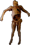 max-transp-dark.gif (20247 bytes)